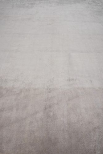 Blank 3590
